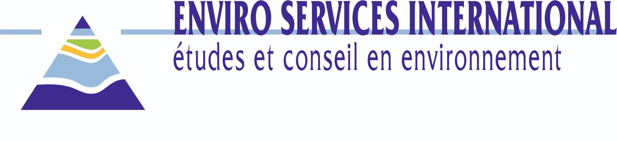 Enviro Services International